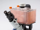 CKX53-stage-2.jpg