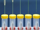 bioreactor-with-septum-cell-culture-TPP#3.jpg