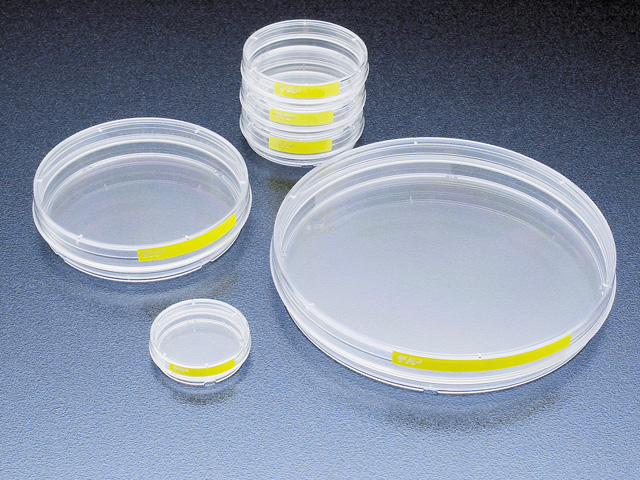 petri-dishes-TPP.jpg