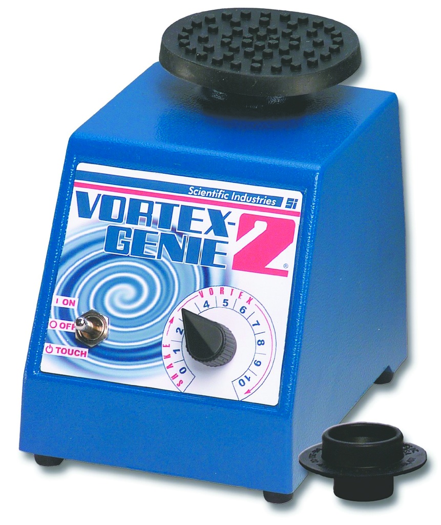 9730060_Genie.jpg