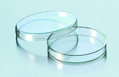 [1180517] Petri-dish Steriplan 120x20 mm