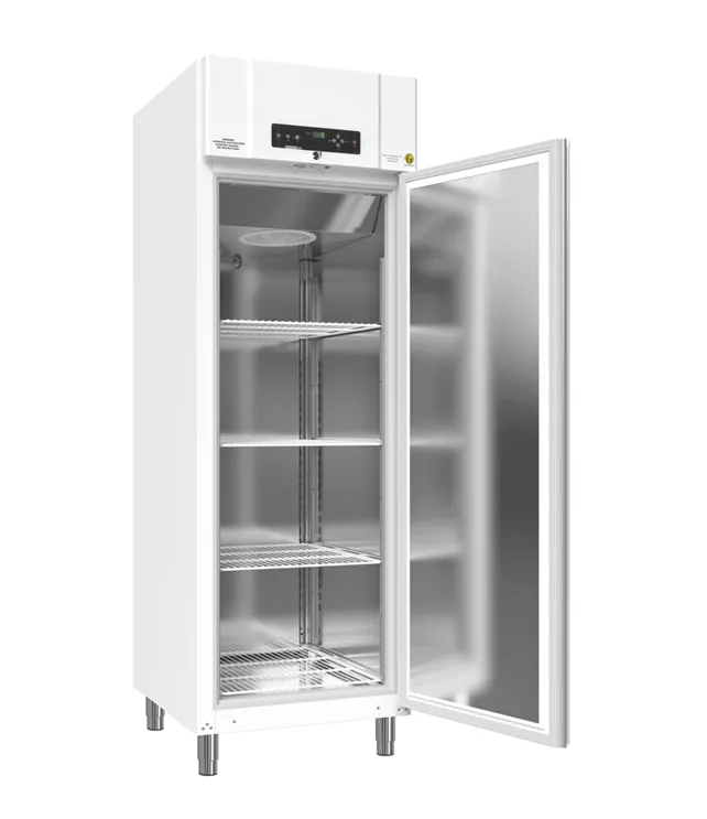 Storage freezer, GRAM BioBasic RF600, -25/-5°C, 610L, 4 shelves, white