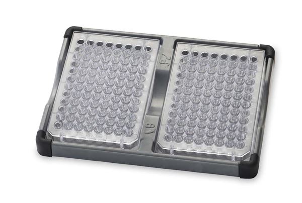 [4659897] Microplate holder for Vortex Mixers