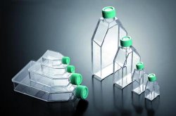 Tissue Culture Flasks, JET-Biofill ventilated lid, 12,5 cm², 200 pcs