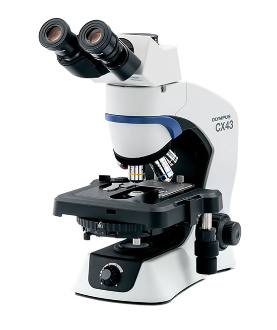 Microscope, Olympus CX43 PH, 4x/10x/40x