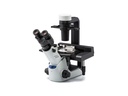 Microscope, Olympus CKX53, 4x/10x/40x