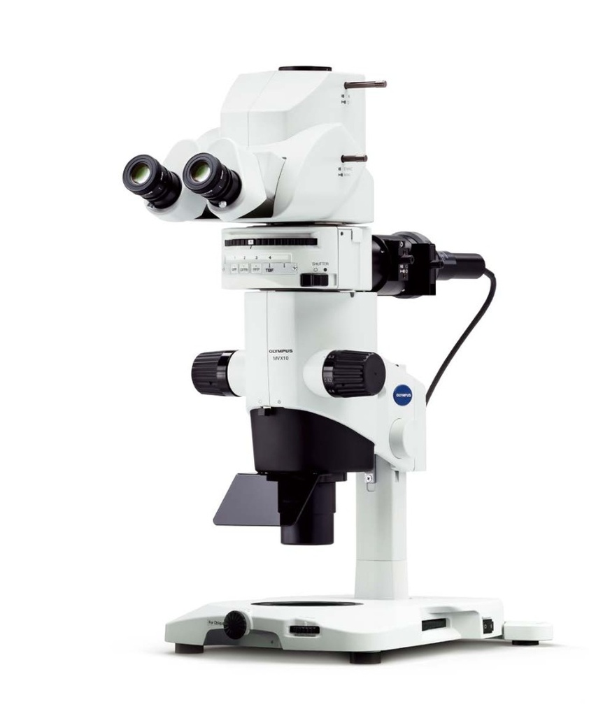 Stereo microscope, Olympus MVX10 w/ fluorescence, 6.3x-125x