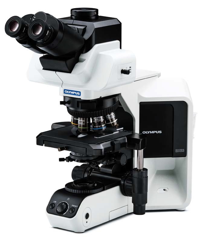Microscope, Olympus BX53 PH/DIC, 10X/20X/40X/40XDIC