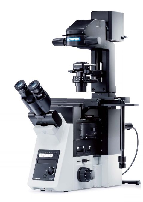[5614102] Microscope, Olympus IX73 PH FL, 4x/10x/20x/40x
