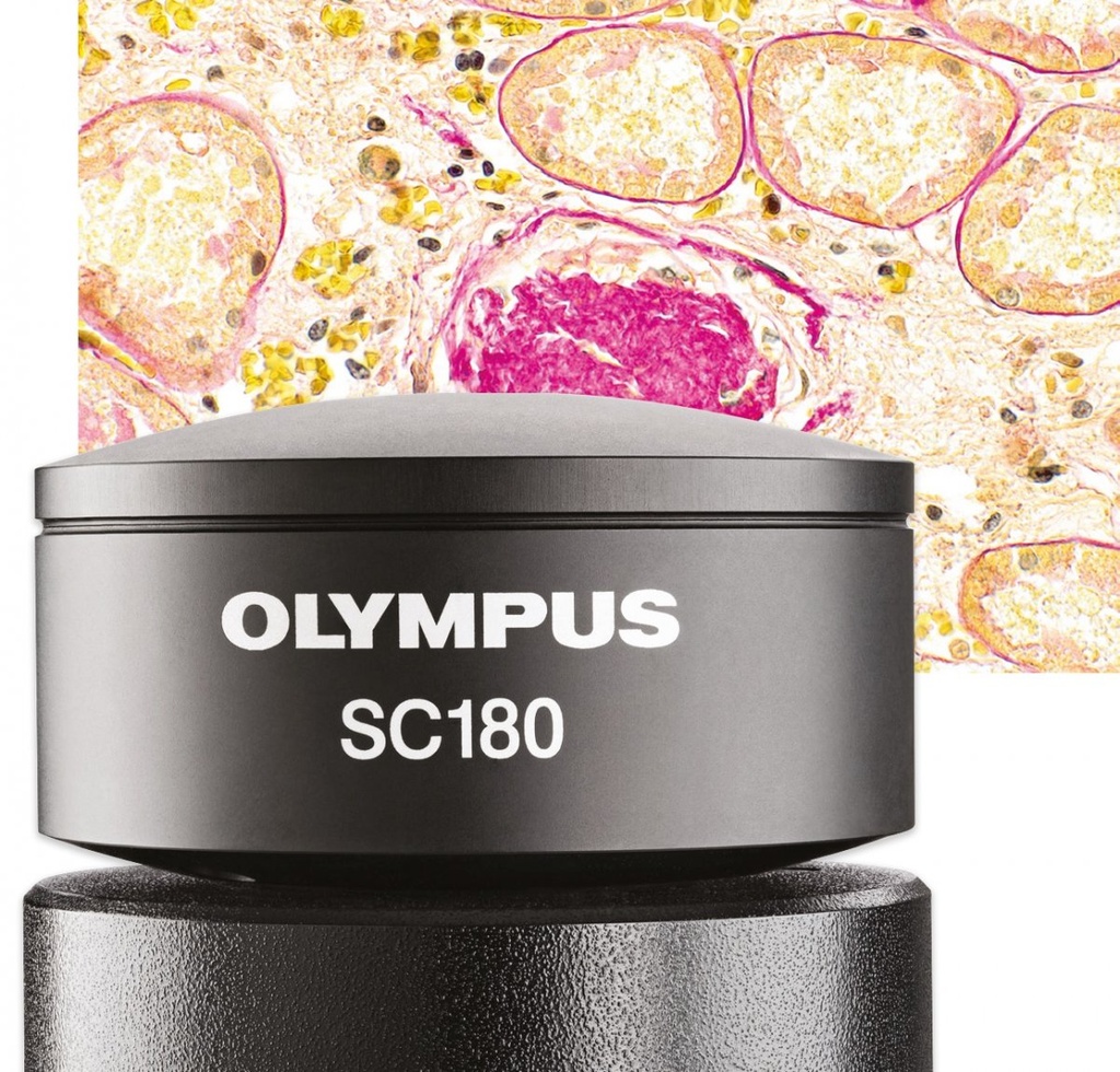 Microscope camera, Olympus SC180, 18.1 MPx, 1/2.3", Color