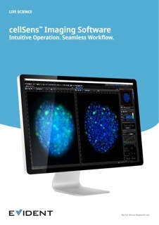 Olympus cellSens Entry/Standard/Dimension module, Database Client