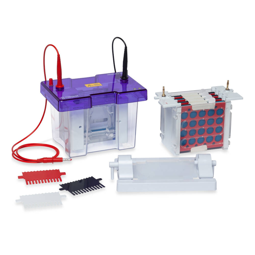 [6229038] Electrophoresis System omniPAGE mini, CV10CBS