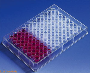 Microtiterplate PP U-bottom