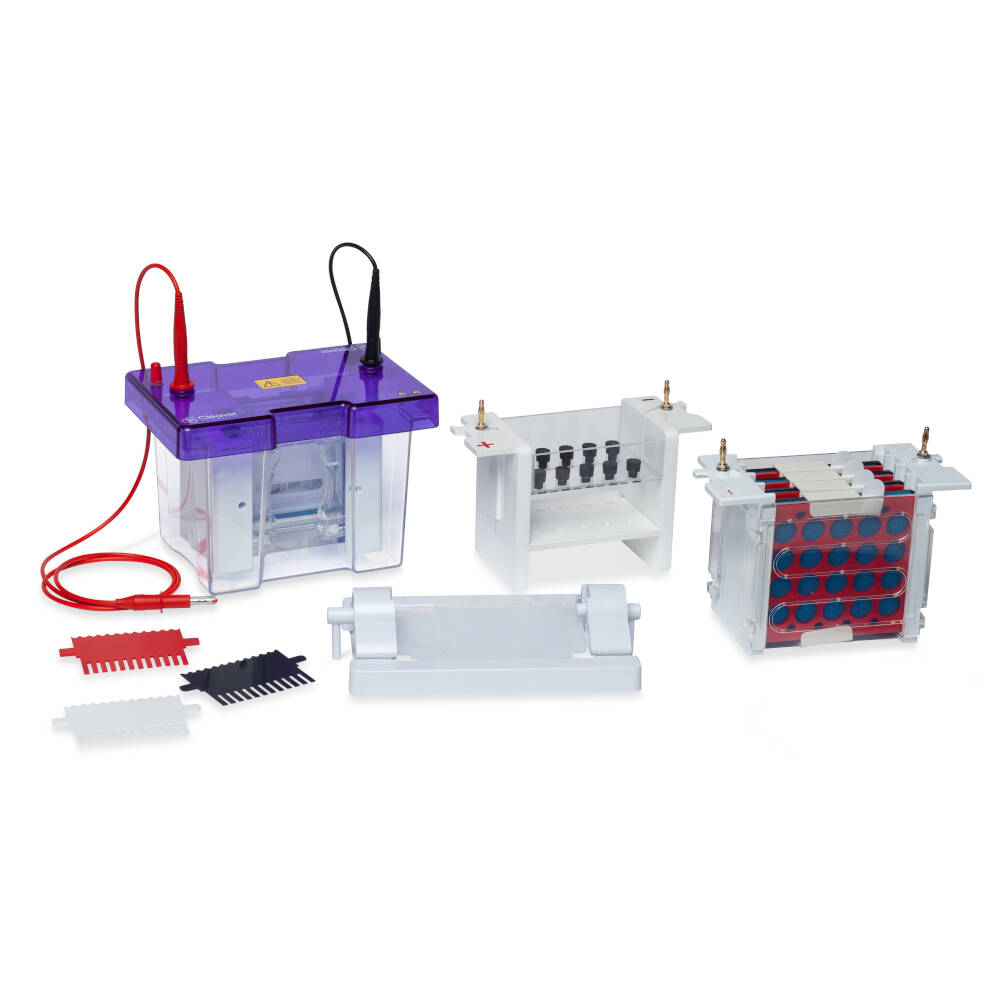 [6238842] Electrophoresis System omniPAGE mini, CVS10CES