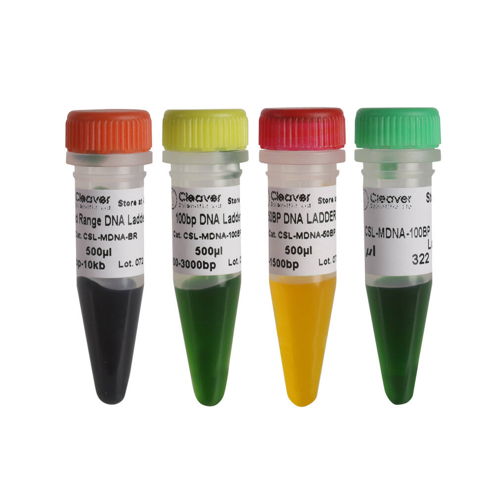 [6256960] DNA marker, 100 bp - 3000 bp, 500 µl