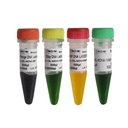 DNA marker, 50 bp - 1500 bp, 500 µl