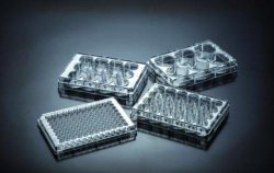 Tissue Culture plates 48-well, PS 0,85cm², treated