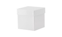 [1522790] Cryobox, TENAK, 133 x 133 x 130 mm, PP coated cardboard, white