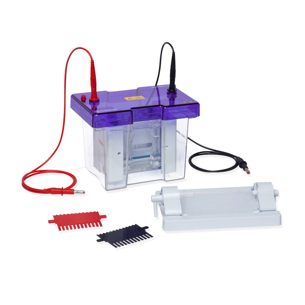[7930246] Electrophoresis system omniPAGE TETRAD Mini