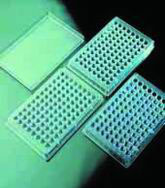 Kartell Microplate flat bottom Aseptic