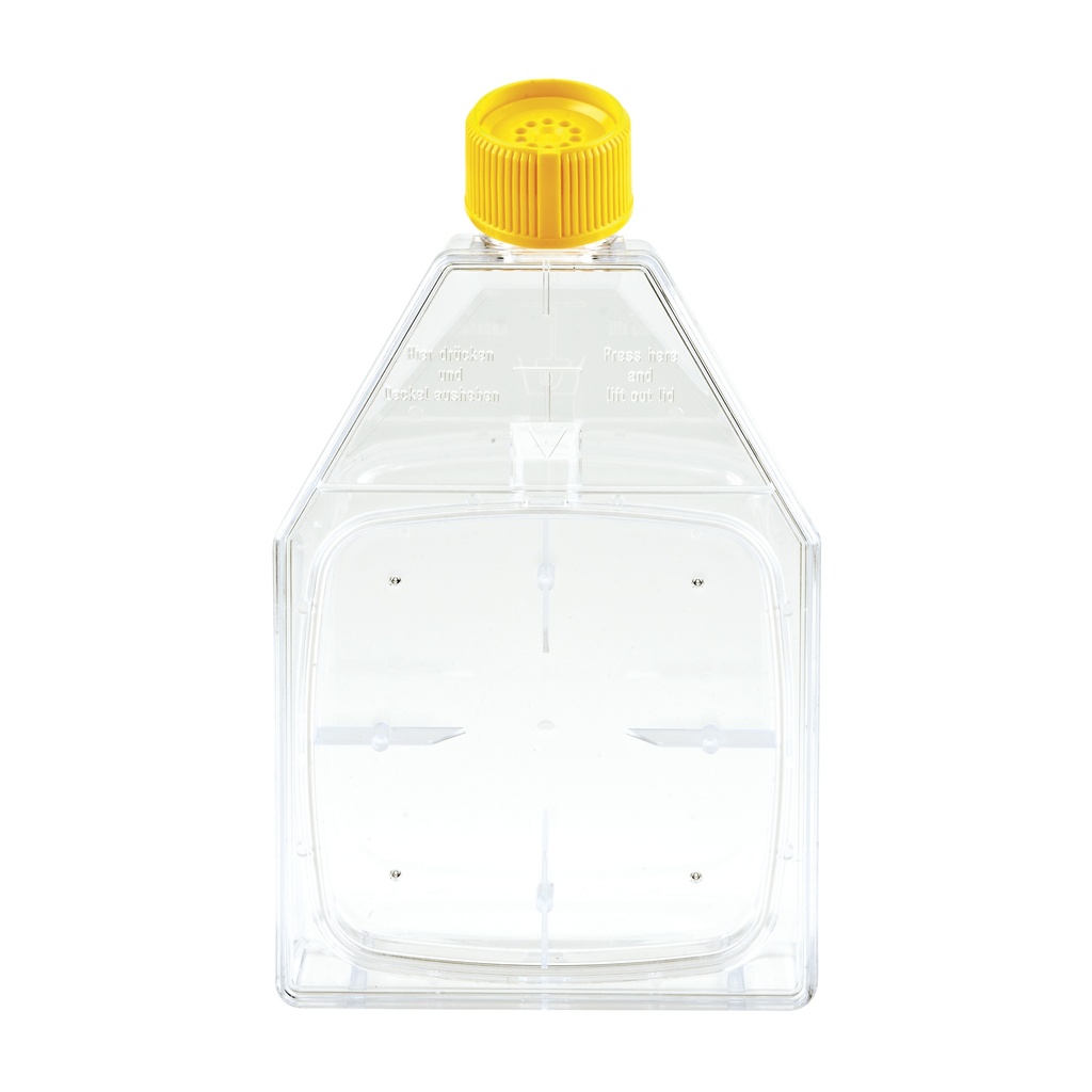 Cell culture flask, TPP filter lid, 150 cm², re-closable cover