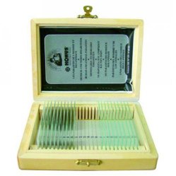 Prepared microscope slides for education and stud