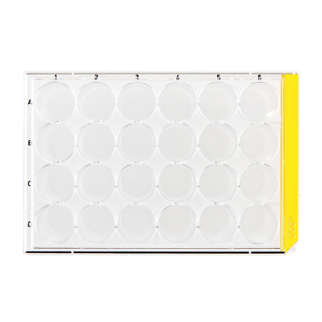 Cell culture plates, TPP, 24 wells, Ø15.4 mm, 126 pcs