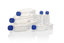 Cell culture bottles EasYFlask 25 cm², Nuclon Fil
