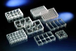 Multiplates Nunclon,sterile,48 wells,pack of 75