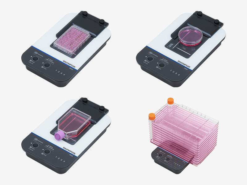 Cell culture monitoring
