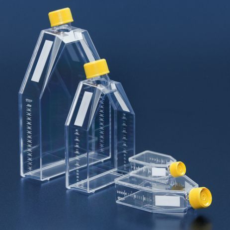 Tissue culture flask
